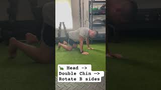 Quadruped Chin Tuck w Rotation [upl. by Nitnilc]