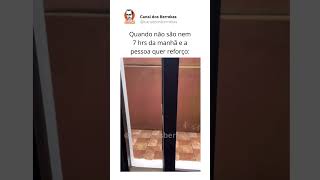 “Bom dia pra quem Márcia” 🤣🐶 behaviorismo cachorro comportamental [upl. by Aticnemrac756]