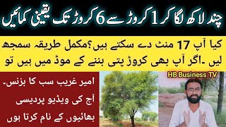 Earn Crores From Tree Farming Business  Kikar Farming  Tree farming  Low Investment Business [upl. by Tenej]