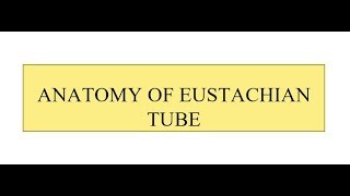 Anatomy of Eustachian Tube [upl. by Kelcie]