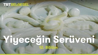 Peynir  Yiyeceğin Serüveni  TRT Belgesel [upl. by Yerfdog245]