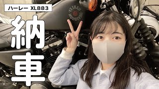 【納車】びびり倒しの帰路｜ハーレー883【バイク女子】 [upl. by Anavlys]