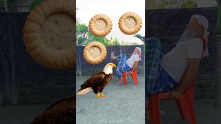 Rounding coconut biscuits to Ostrich Crow Duck amp Eagle  Birds names magic video [upl. by Karney]