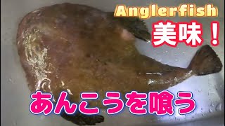 あんこうを喰う Anglerfish [upl. by Munsey749]