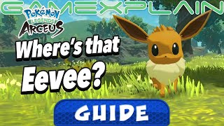 How to Find Eevee in Pokémon Legends Arceus Guide amp Walkthrough [upl. by Chinua]