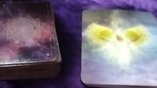 Divine Tarot 111 is live Now 🌟 Tarot Free reading Only Yes or No guidance ⭐ [upl. by Guibert]