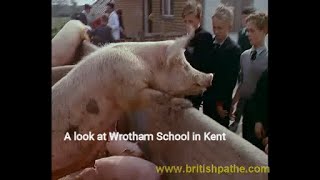 A look back at Wrotham School in 1963 [upl. by Silenay]