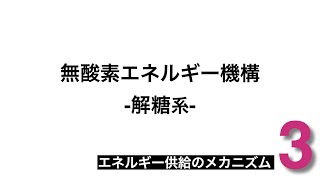 エネルギー供給のメカニズム 3 無酸素エネルギー機構 解糖系 [upl. by Meece]