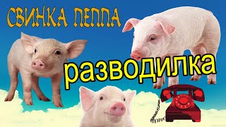 Звонят мошенники  Свиноферма [upl. by Louisette]