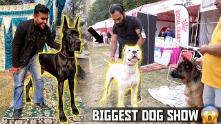 Biggest Dog Show in Haryana  Karnal Dog Show 😱 [upl. by Sileray]