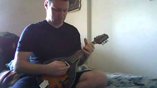 Ibanez M510E ElectricAcoustic Mandolin a short demo [upl. by Calli]