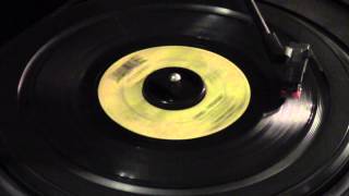 Rebel Rouser  Duane Eddy 45 rpm [upl. by Woods]