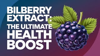 Bilberry Extract Health amp Nootropic Benefits Study Review [upl. by Cerelia]