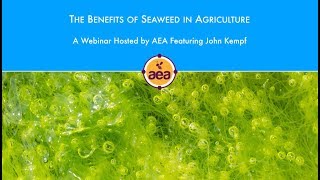 The Benefits of Seaweed in Agriculture [upl. by Sirovat]