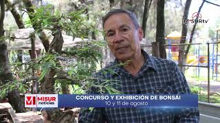 CONCURSO y exhibición de árboles BONSÁI MiSurNoticias [upl. by Enala211]