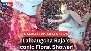 Ganpati Visarjan 2024 Lalbaugcha Rajas Iconic Floral Shower from Shroff Building [upl. by Collayer999]