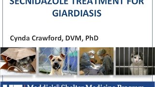 Vet to Vet Secnidazole for Giardiasis  conference recording [upl. by Baumann]