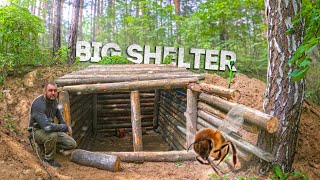 My biggest dugout Shelter building in the woods building in the woods [upl. by Navis]