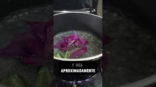 Así Debes Preparar el Té de Tradescantia Receta y Beneficios 🌿 [upl. by Sitnik115]