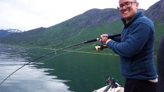 Sej Eventyr i Romsdalfjord Norge 2015  Coalfish on Speedjig in Romsdal Fjord [upl. by Leviram]