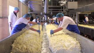 Cheese Making Process [upl. by Auburta]