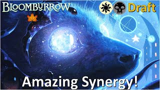 The Synergies with this archetype are TOO Good  Bloomburrow Premier Draft MTG Arena [upl. by Walli]