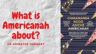 Americanah by Chimamanda Ngozi Adichie [upl. by Popelka]