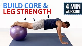 4 Minute Core amp Leg Stability Ball Workout [upl. by Fraya272]