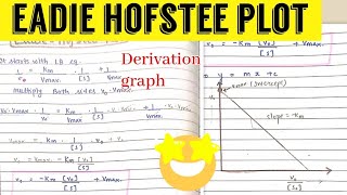 Eadie  Hofstee Plot  Enzymology [upl. by Jonny]