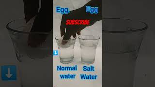 SCIENCE EXPERIMENT following scientific method following egg and Waterexperimentscienceeggshorts [upl. by Rogerg]