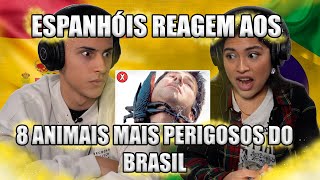 ESPANHÓIS REAGEM A SERTANEJO  HITS 2022 Gusttavo Lima Guilherme amp Benuto Hugo amp Guilherme [upl. by Riplex]