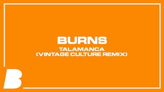 BURNS  Talamanca Vintage Culture Remix [upl. by Rosanne469]