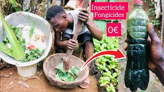 Insecticide naturel pour soigner les plantes malades en 5 minutes [upl. by Efal]