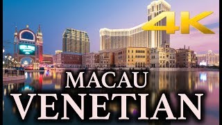 The Venetian in Macau 4K [upl. by Becket]