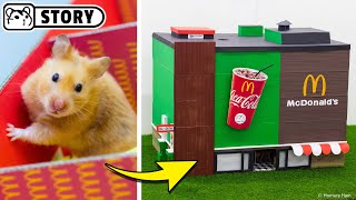 Hamster McDonalds Maze in real life 🍔 Homura Ham [upl. by Kravits]