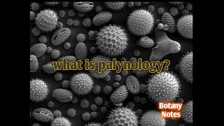 palynology introduction  palynology and its application  palynology pollen morphology [upl. by Nadine]