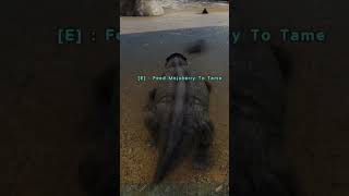 How To Tame A Lystrosaurus In Ark Survival Evolved shorts ark [upl. by Melli]