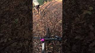 Non mi ero ricordato mtb enduromtb viralvideo downhill perte racing mtblife [upl. by Dnaletak]