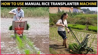 How to use Manual Rice Transplanter Machine  Rice  Paddy Planting Machine [upl. by Atisor]