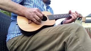 Beltona 5string ukulele blues [upl. by Sucramal711]