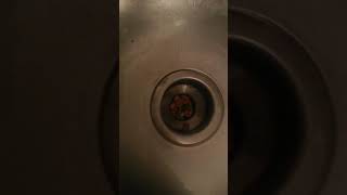 Why I will never buy a garbage disposal for my sink [upl. by Adelaja]