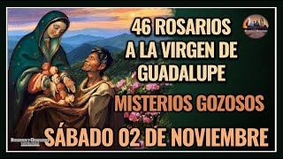 46 ROSARIOS A LA VIRGEN DE GUADALUPE MISTERIOS GOZOSOS  GUADALUPANO  SÁBADO 02 DE NOVIEMBRE 2024 [upl. by Raskind]