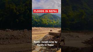 Highways of Nepal  Floods in Nepal  Floodway roshikhola flood nepal shorts [upl. by Nodnart435]