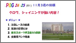 【POG2425】第81回 11月3週の回顧 クロワデュノール、サトノシャイニングが強い内容！ [upl. by Drucilla]