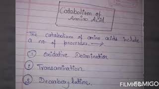 Catabolism of AMINO ACIDS  oxidative deaminationtransaminationdecarboxylation [upl. by Atikal]