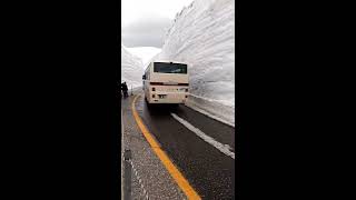 Snow Corridor of the Tateyama  Kurobe Alpine Route Japan [upl. by Gans]