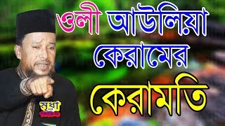 ওলী আউলিয়া কেরামের কেরামতি  আব্দুর রহমান রেজভী  ABDUR RAHMAN REZVI । Mridha HD Media [upl. by Madel]