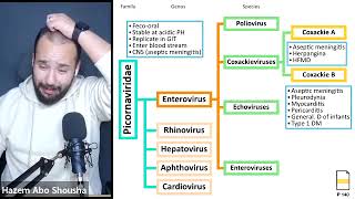 Infectious disease 2 DrHzm Enteroviruses [upl. by Ellswerth675]