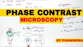 Phase contrast microscopy  Principle  Mechanism  Advantages and disadvantages [upl. by Roze]