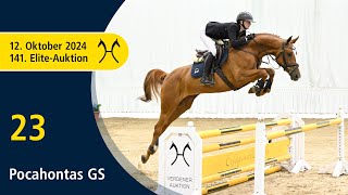 No 23 Pocahontas GS by Perigueux  Quadam  141 Verden EliteAuction on October 12th [upl. by Nybor]